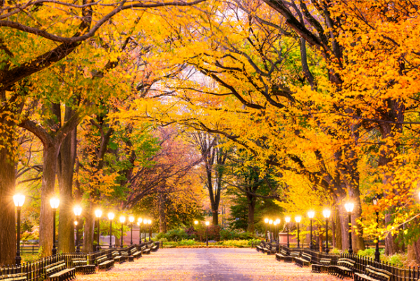 what-to-do-in-the-fall-in-new-york-city-take-new-york-tours