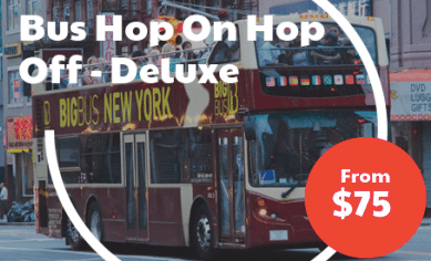 Bus Hop On Hop Off - Deluxe